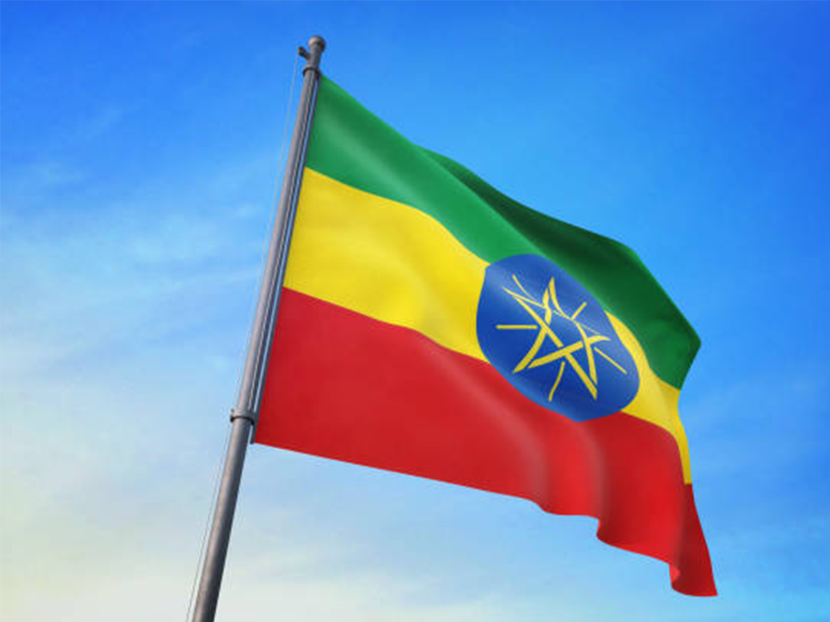 Envíos a Etiopía: la guía definitiva para 2024 | Agente de carga de China